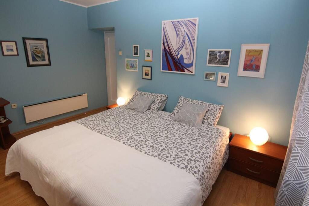 Fast Friend - Cozy Apartment In The Center With Private Garage Rijeka Exterior foto